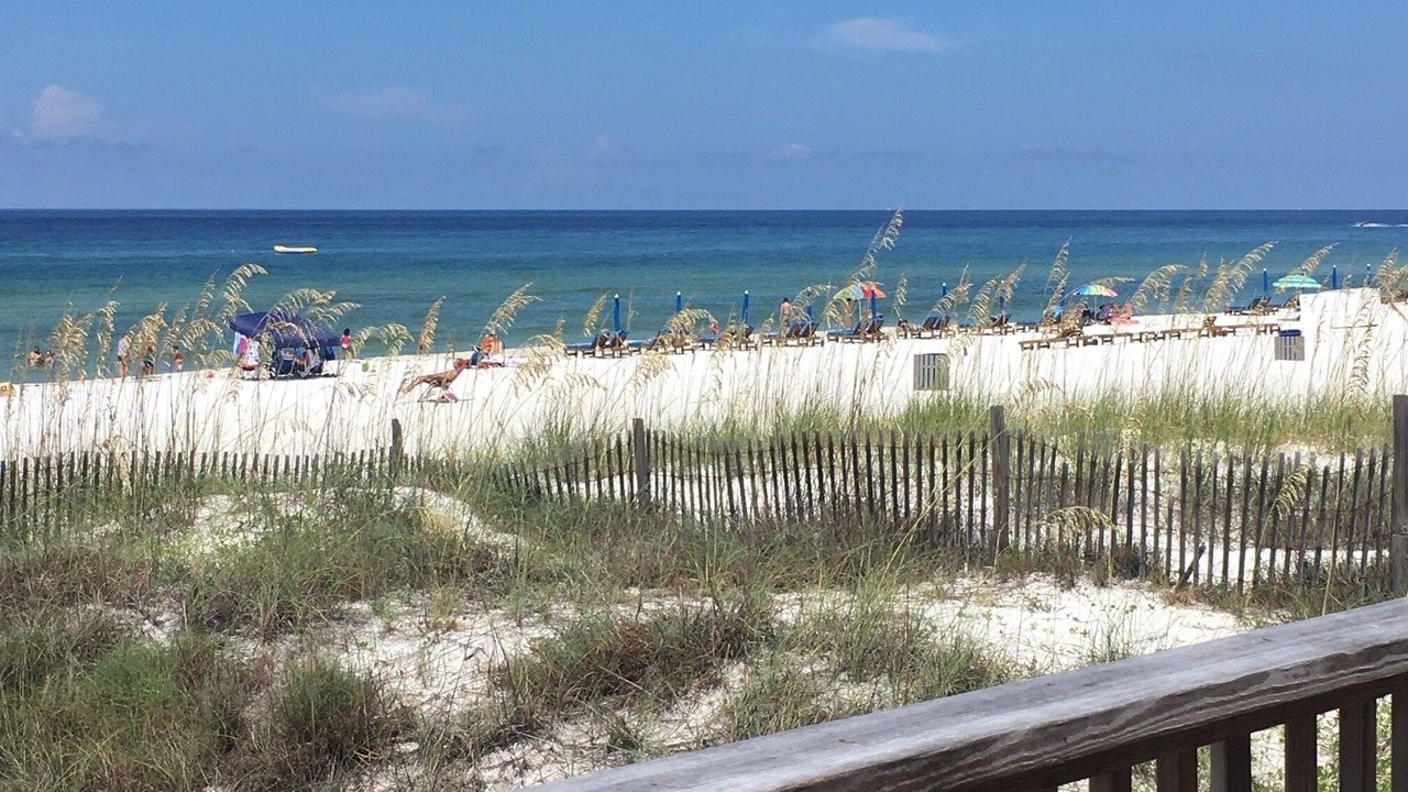 Photo of Others in Biltmore Beach