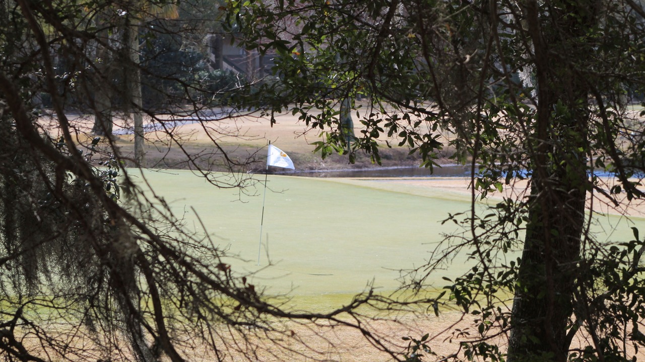 Photo of Others in Palmetto Dunes
