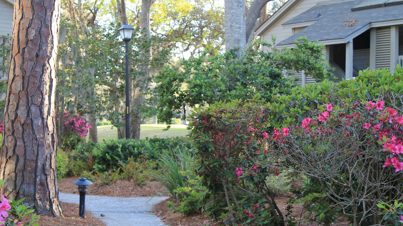 Photo of Others in Palmetto Dunes