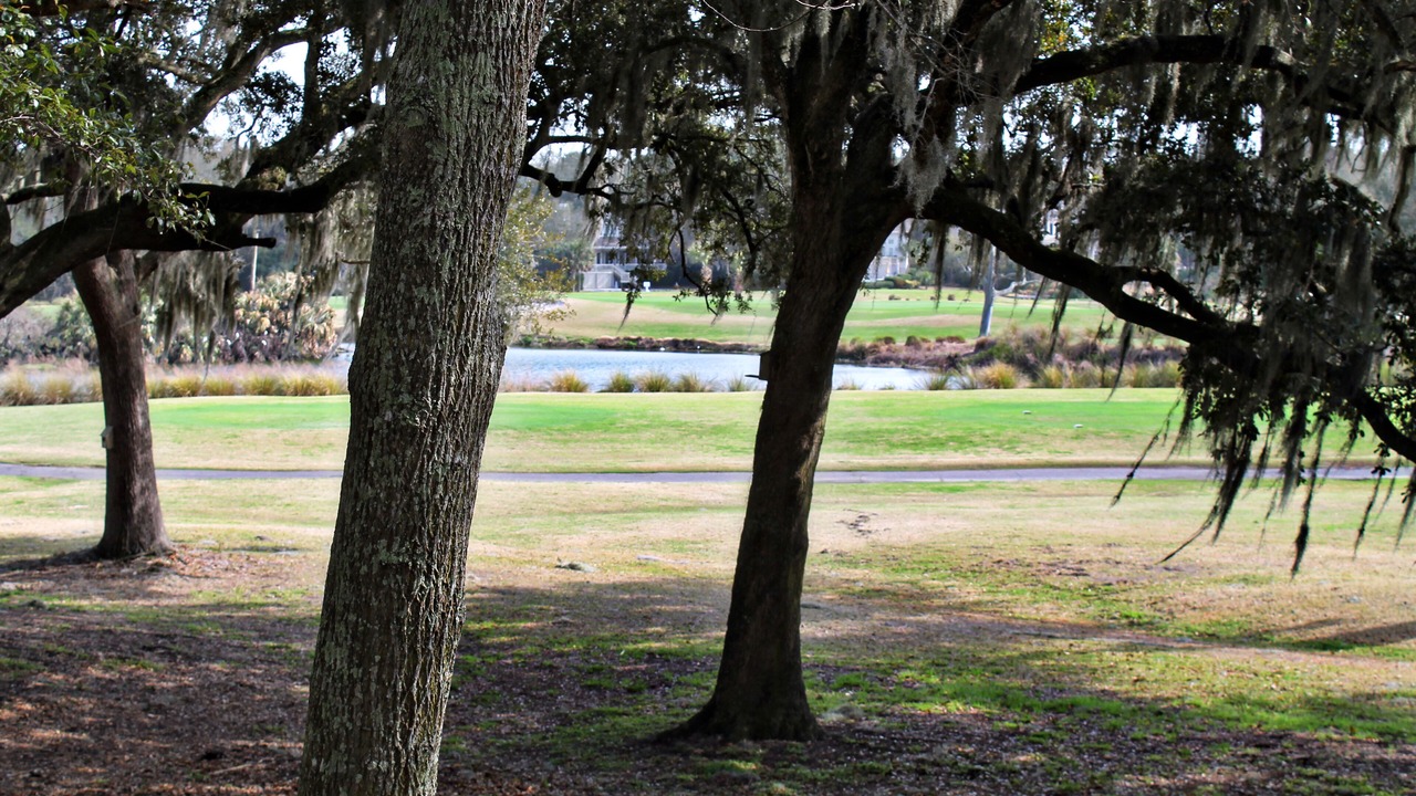 Photo of Others in Palmetto Dunes