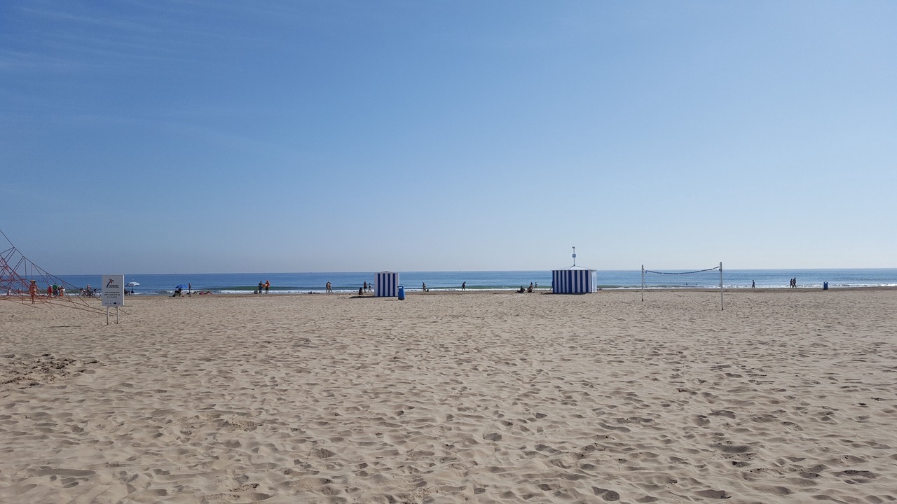 Photo of Others in L'Olivereta