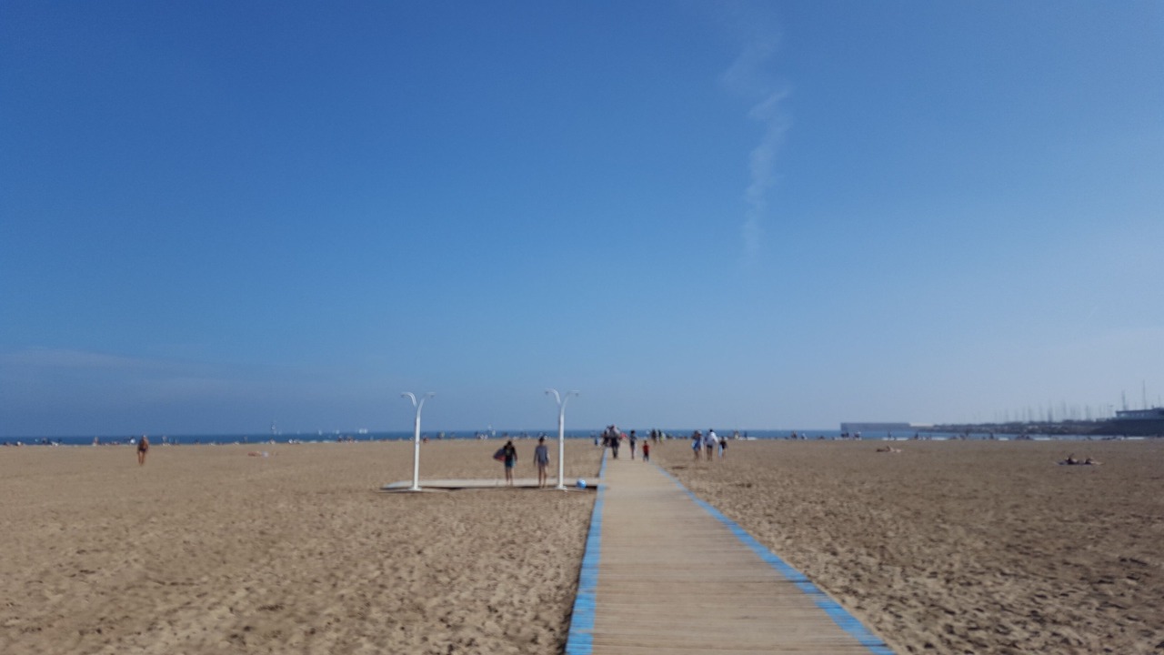 Photo of Others in L'Olivereta