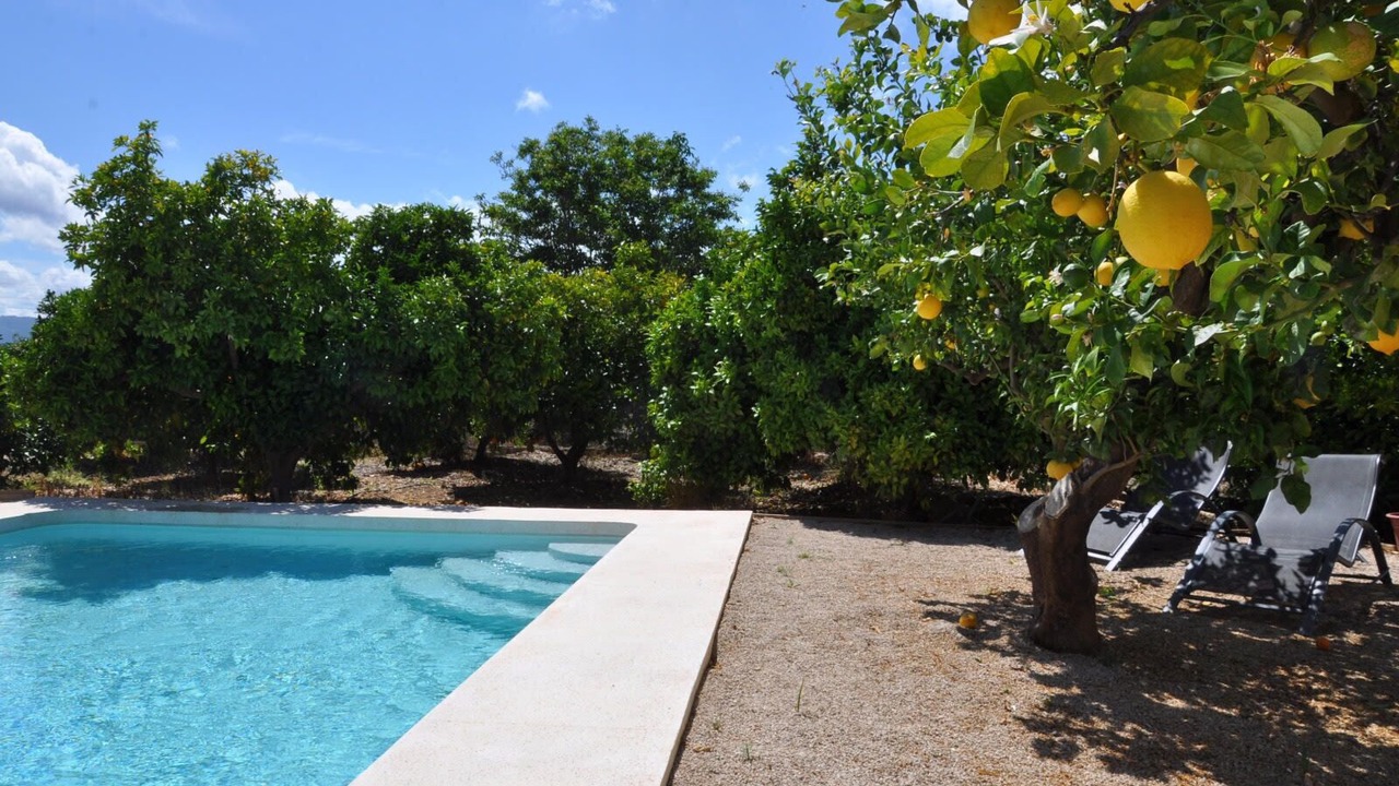 Photo of Outdoor in Ondara