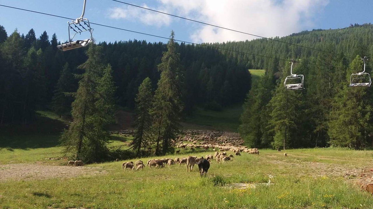 Photo of Outdoor in Puy-Saint-Vincent
