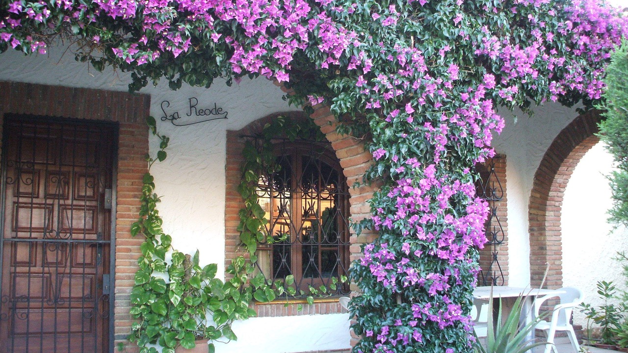 Photo of Outdoor in Costa del Zefir