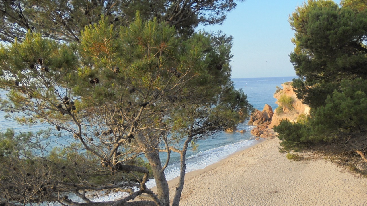 Photo of Others in Costa del Zefir
