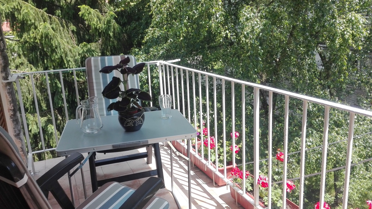 Photo of Outdoor in Irun