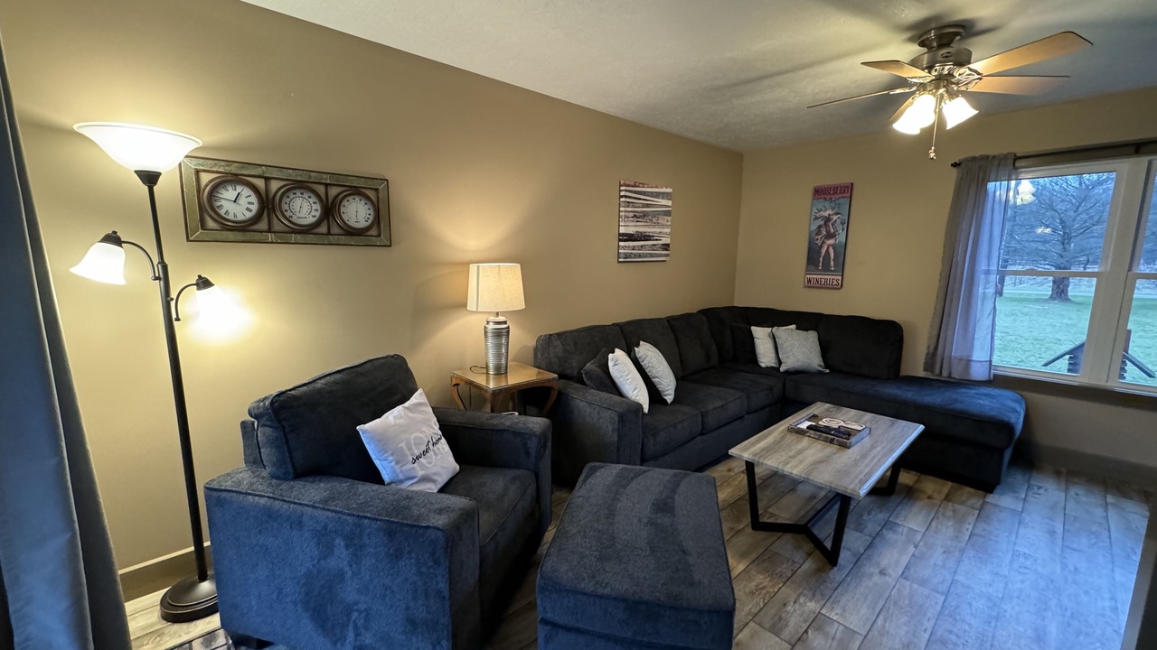 Photo of Livingroom in Geneva