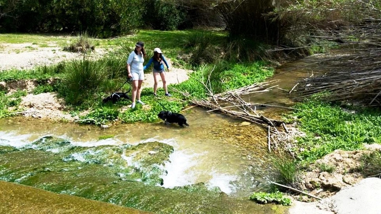 Photo of Outdoor in Elche De La Sierra
