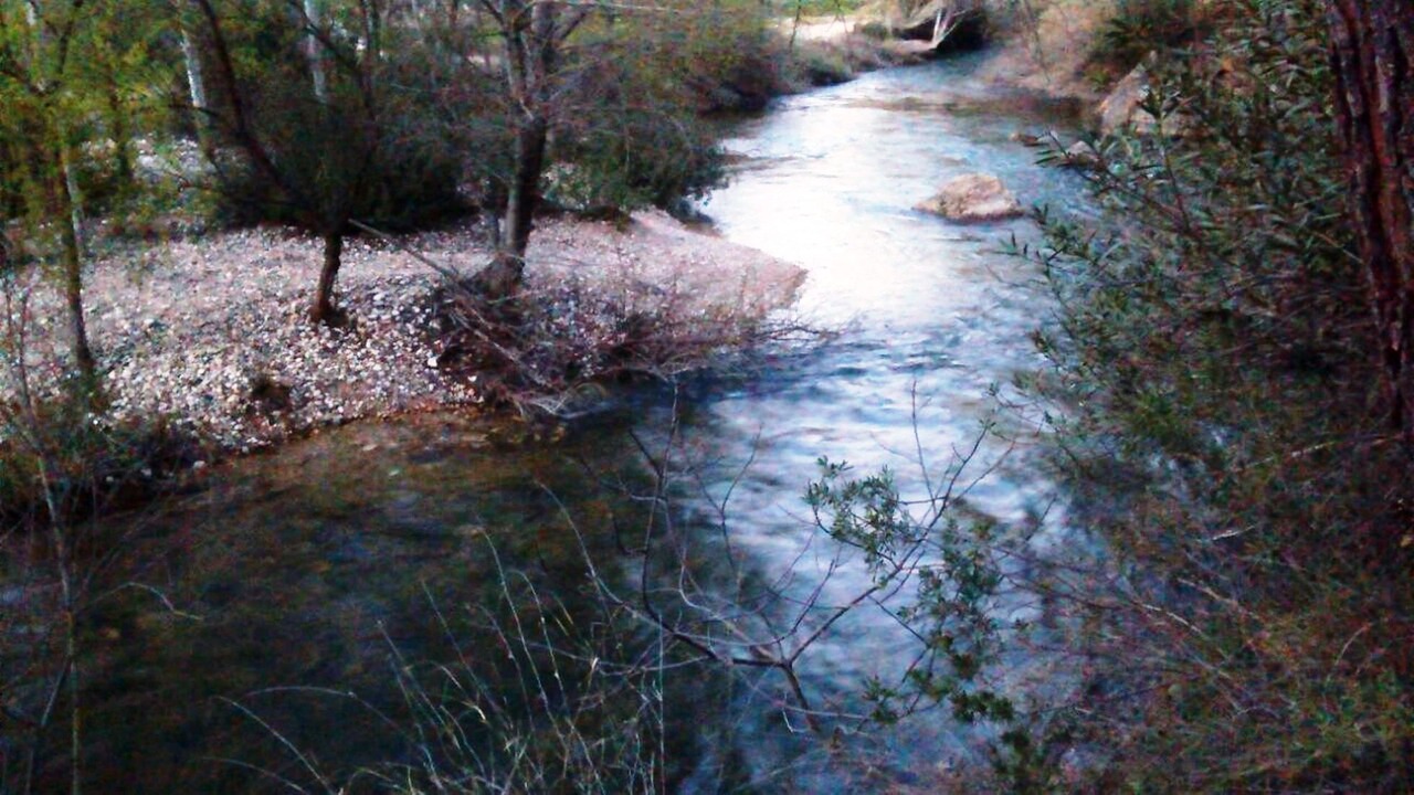 Photo of Outdoor in Elche De La Sierra