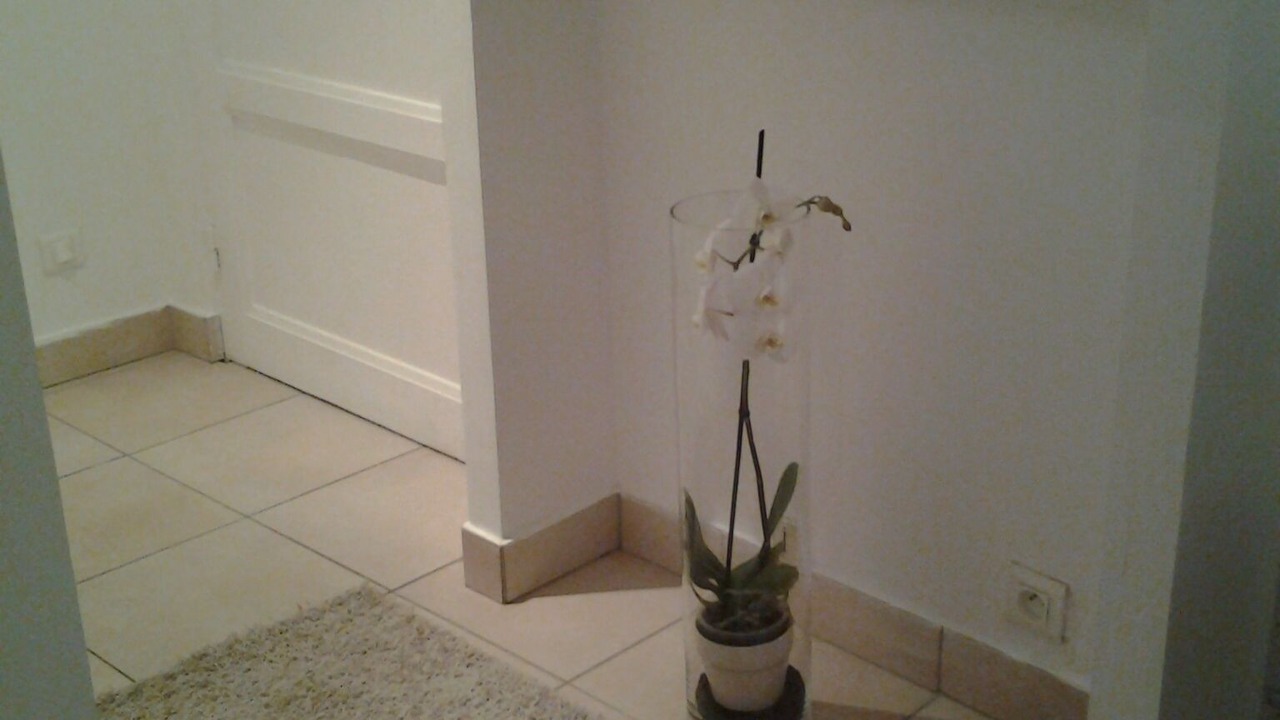 Photo of Others in Downtown