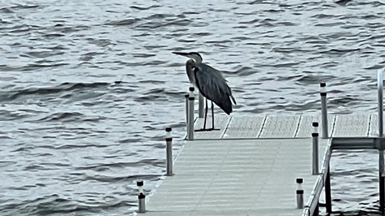 Photo of Outdoor in Chaumont