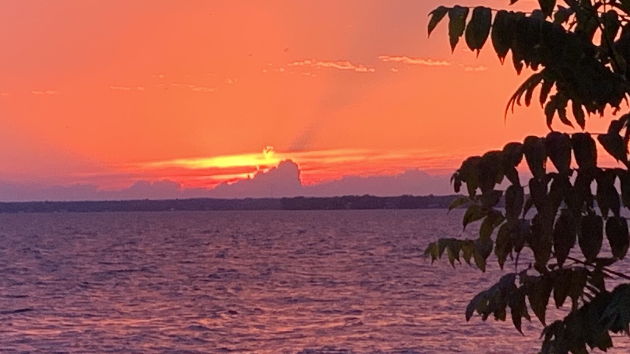 Photo of Others in Chaumont