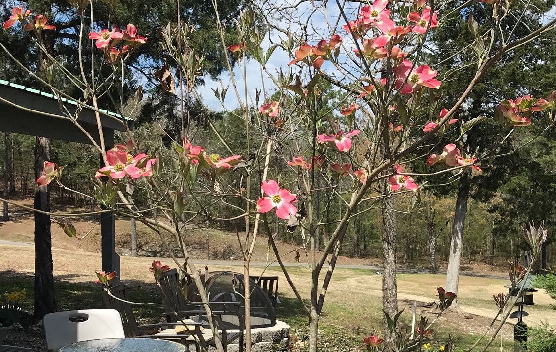 Photo of Others in Hot Springs Village