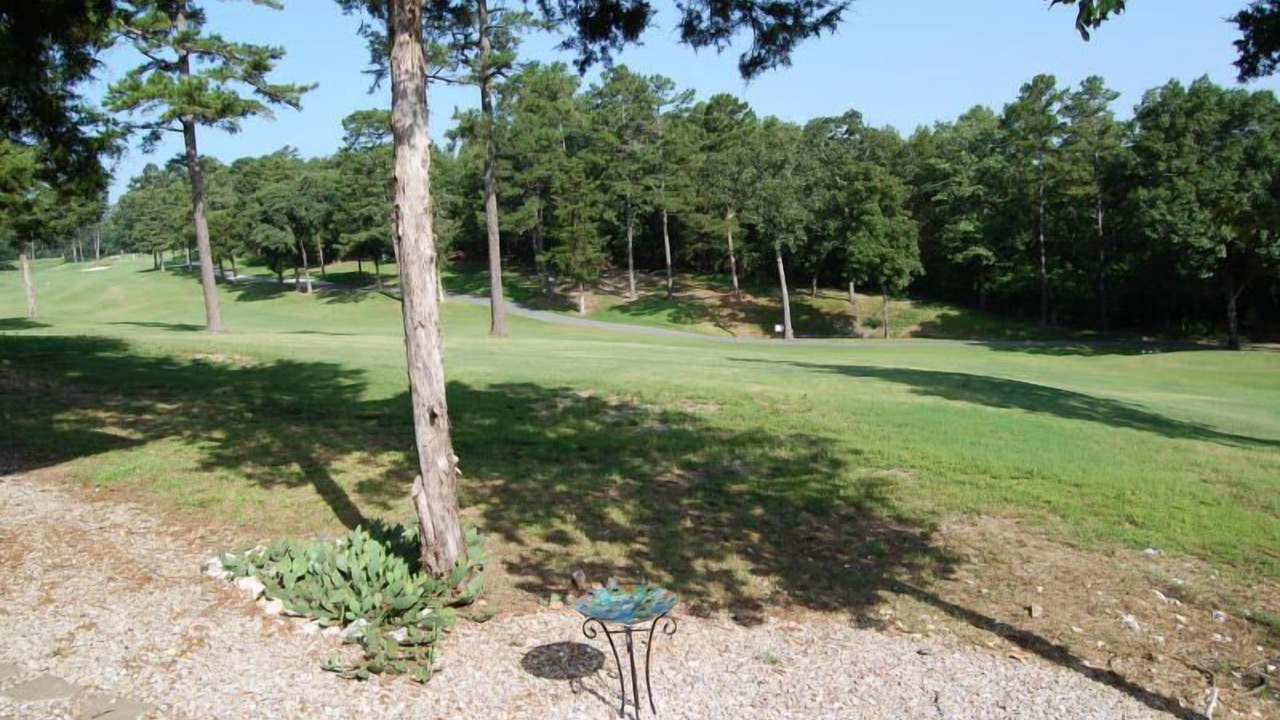 Photo of Others in Hot Springs Village