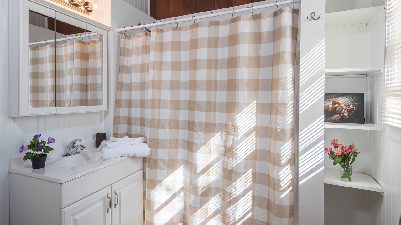 Photo of Bathroom in Hendersonville