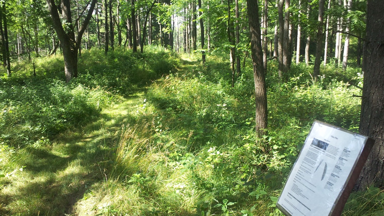 Photo of Outdoor in Pardeeville