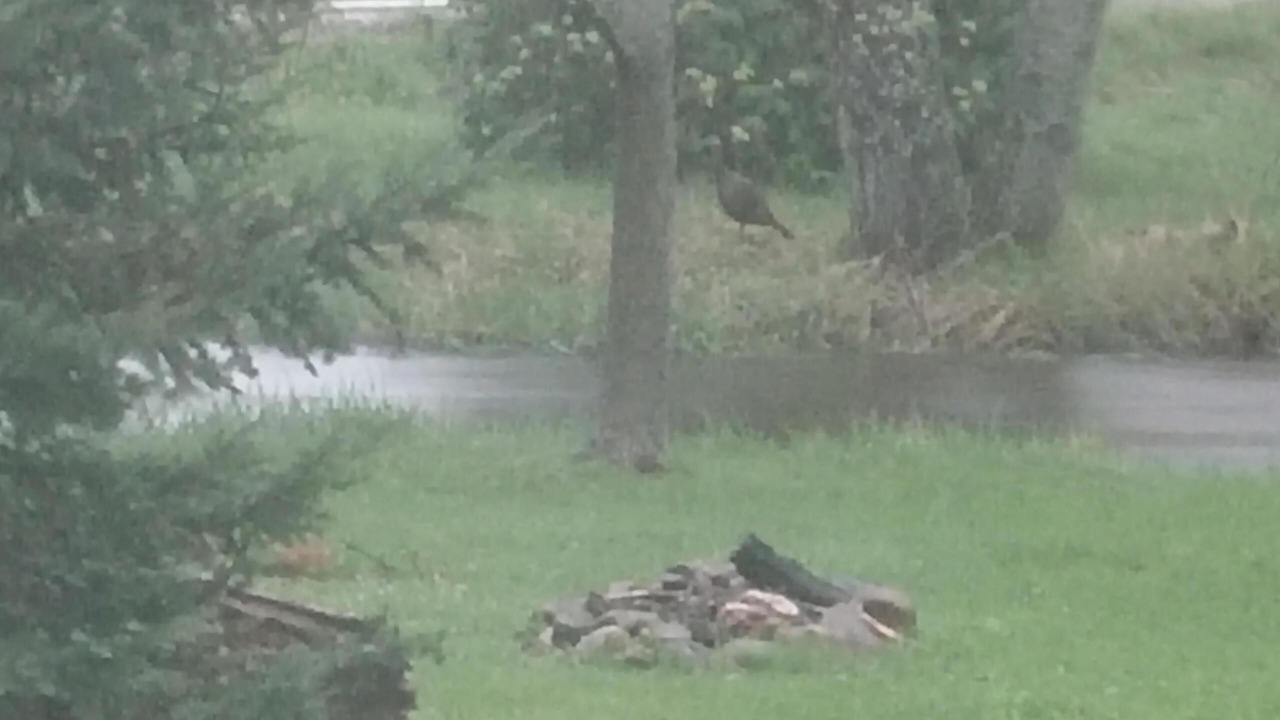 Photo of Others in Pardeeville