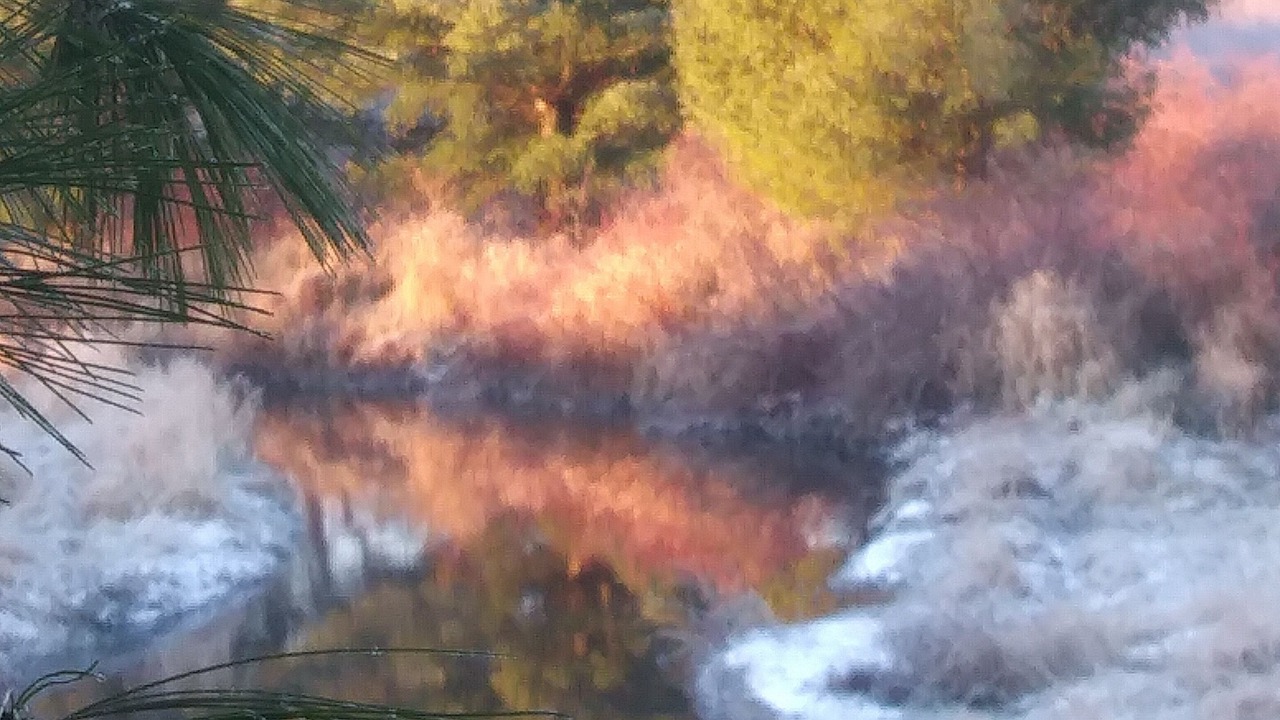 Photo of Others in Pardeeville