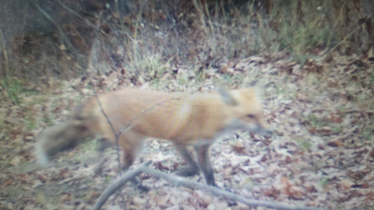 Photo of Outdoor in Pardeeville