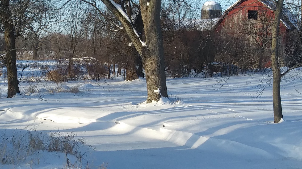 Photo of Outdoor in Pardeeville