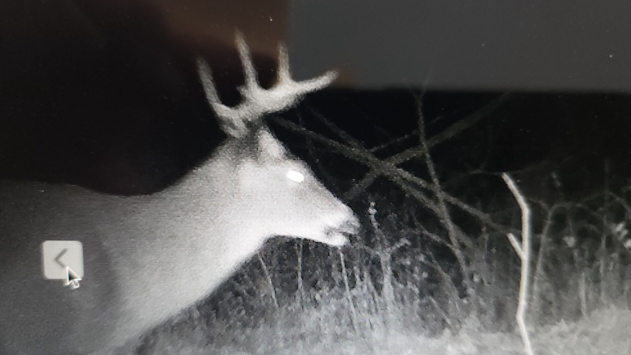 Photo of Others in Pardeeville