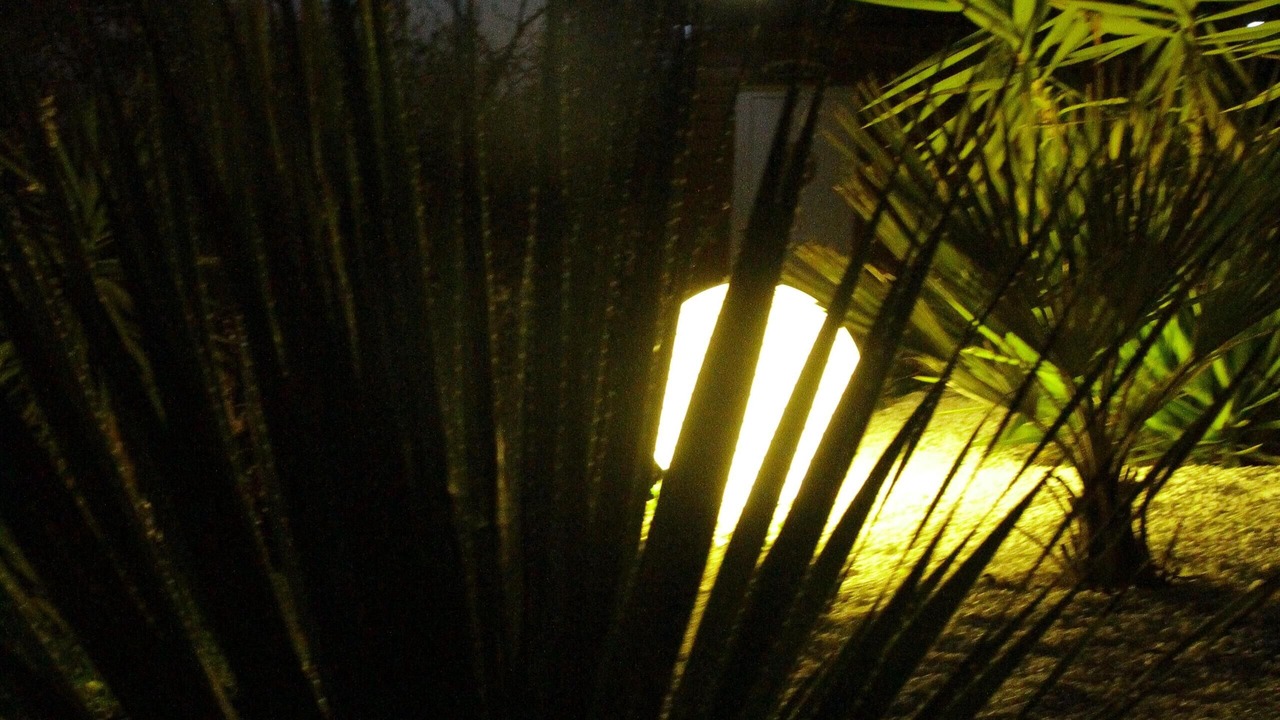 Photo of Others in Peille