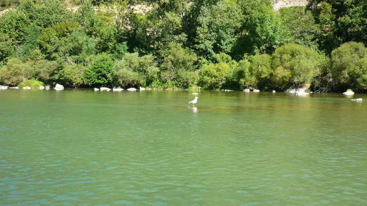 Photo of Outdoor in Sainte-Eulalie-d'Olt