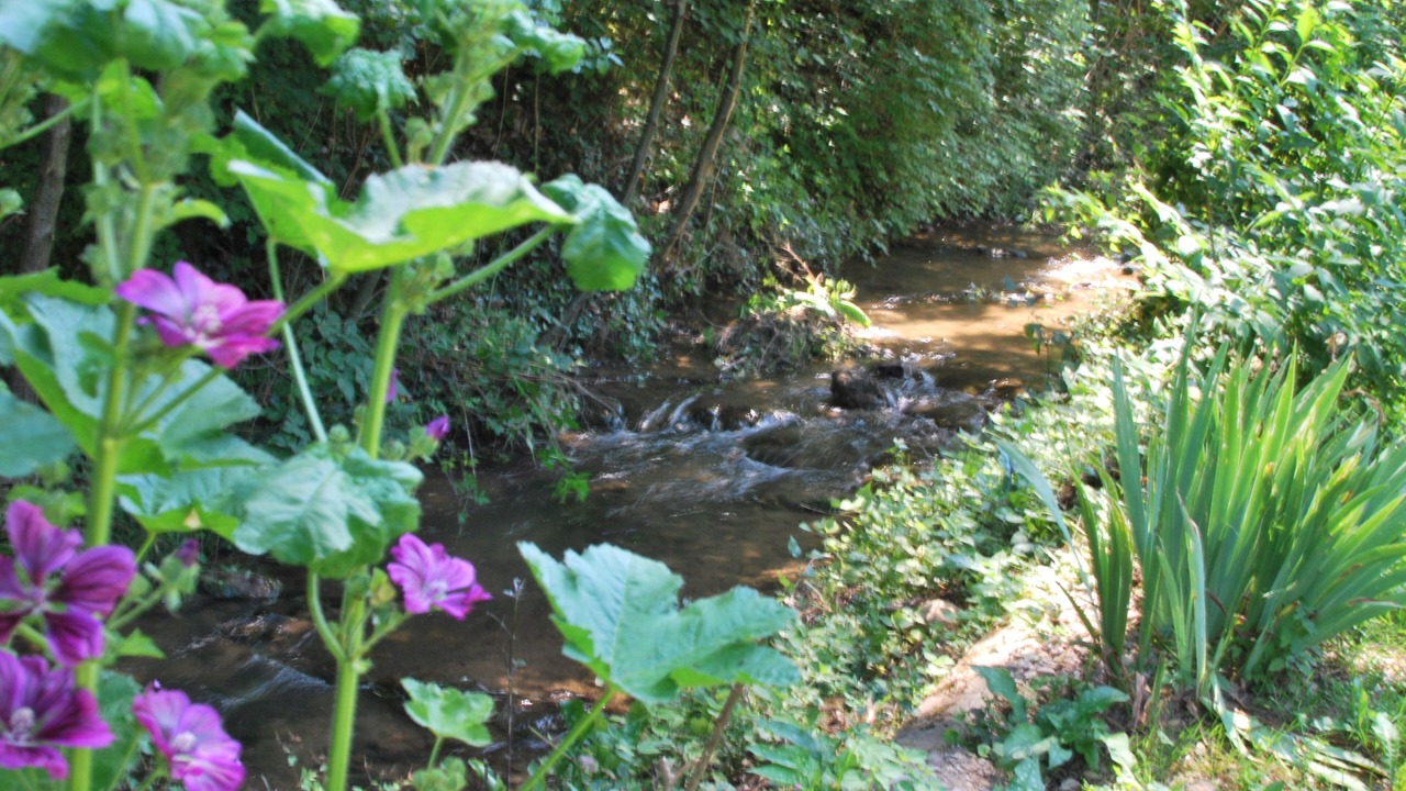 Photo of Outdoor in Sainte-Eulalie-d'Olt