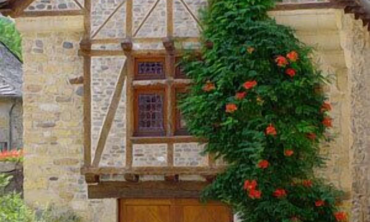 Photo of Outdoor in Sainte-Eulalie-d'Olt