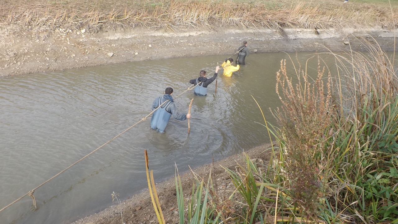 Photo of Others in Thillot
