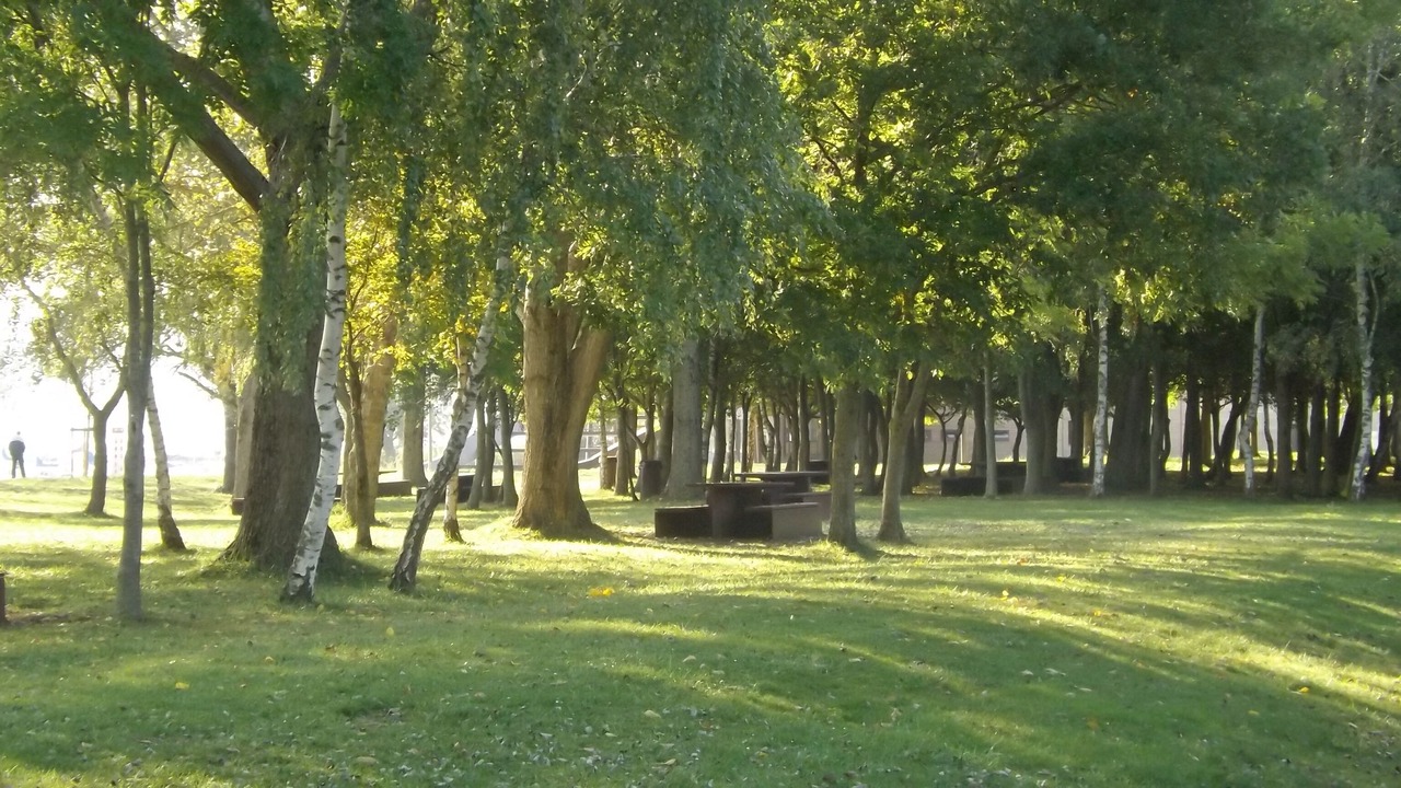 Photo of Outdoor in Thillot