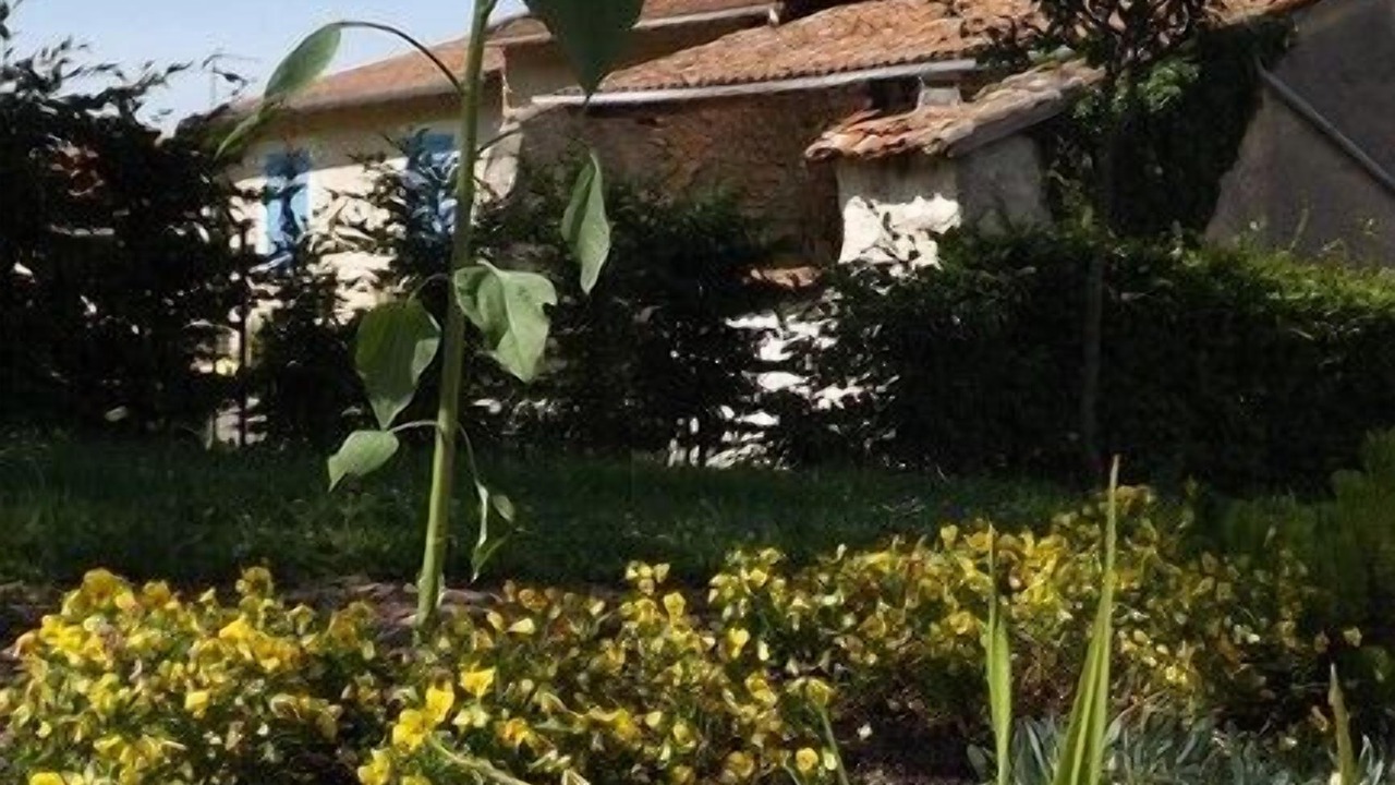 Photo of Outdoor in Thillot