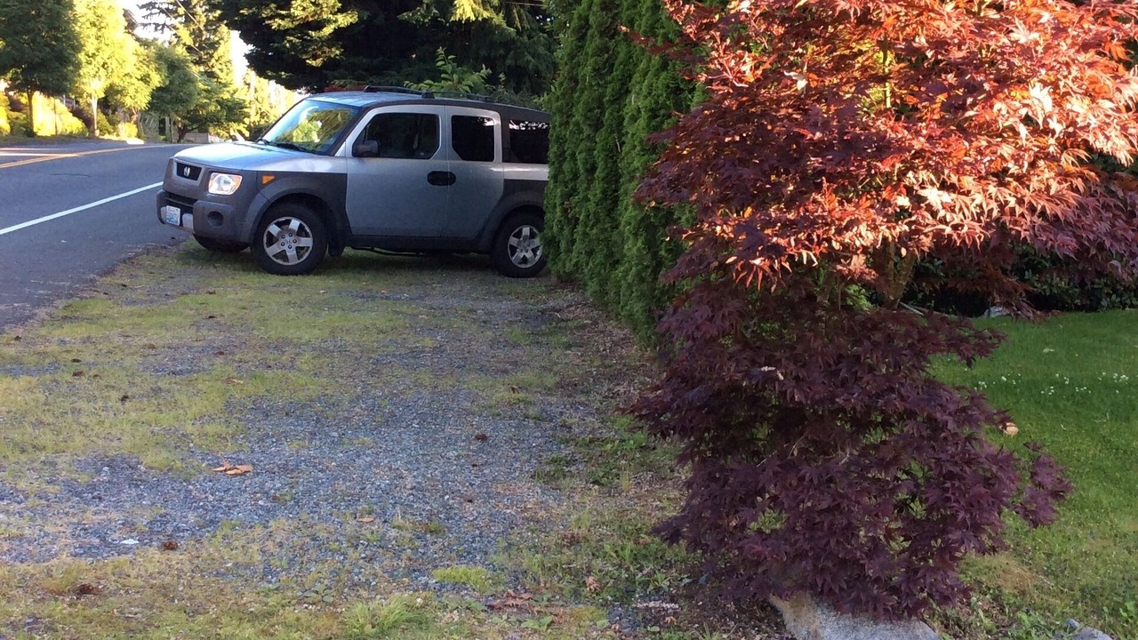 Photo of Outdoor in Newcastle