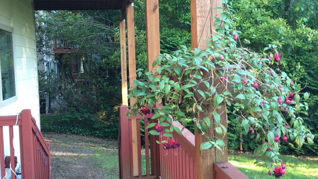 Photo of Outdoor in Newcastle