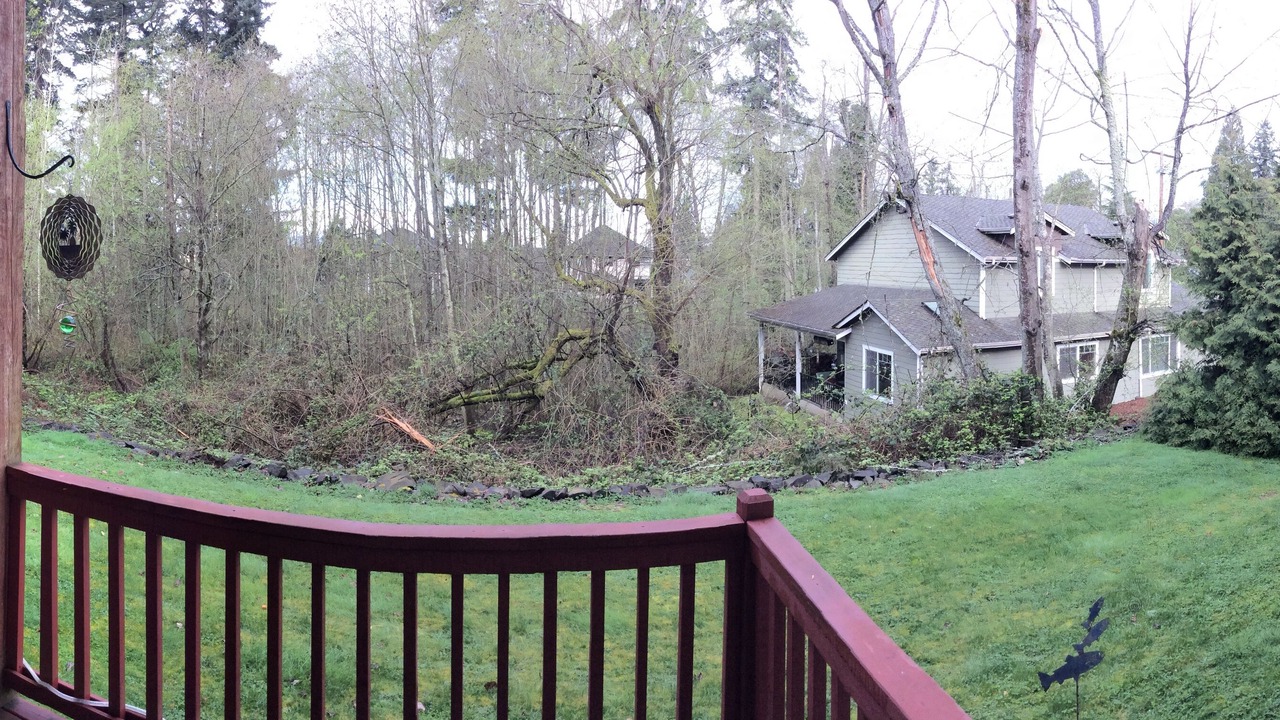 Photo of Others in Newcastle