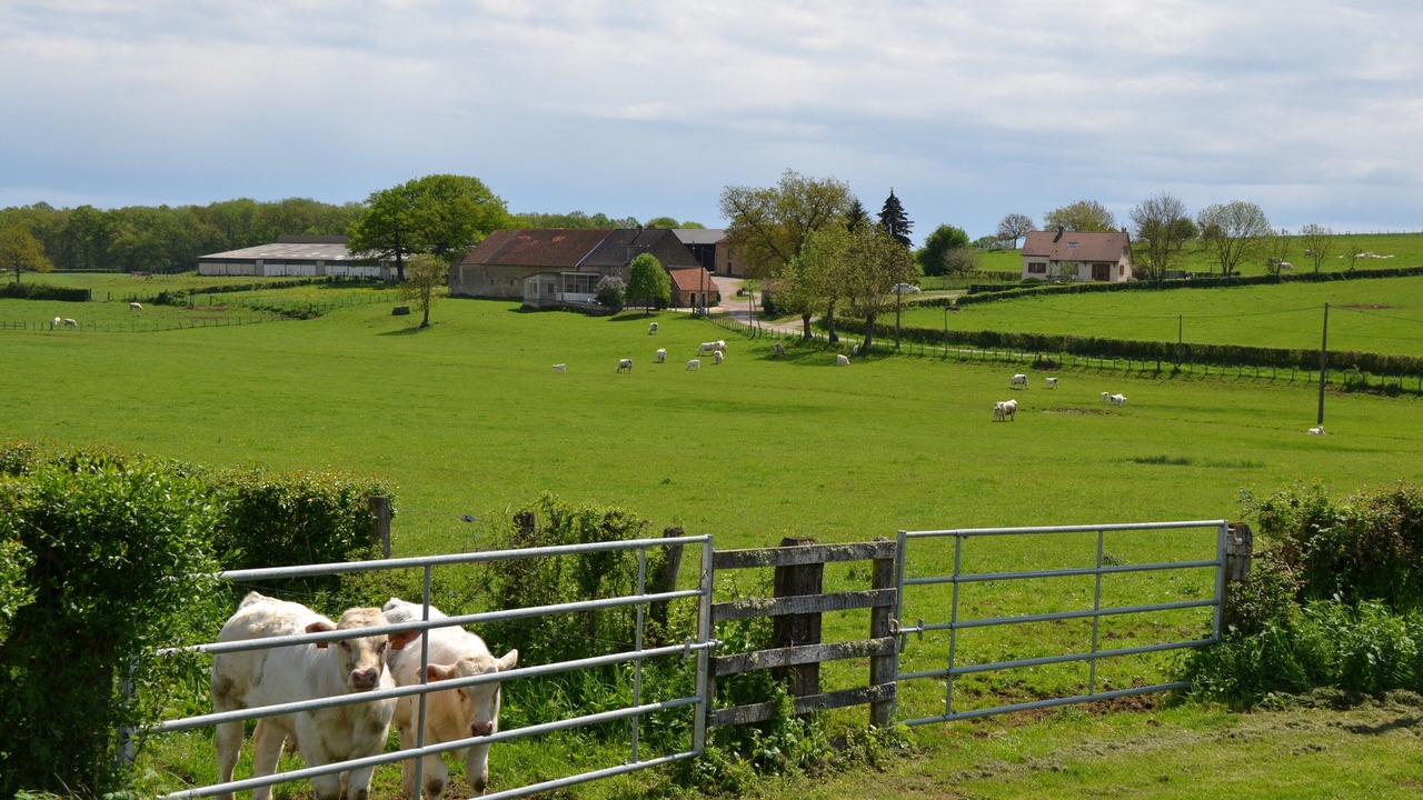 Photo of Outdoor in Clomot