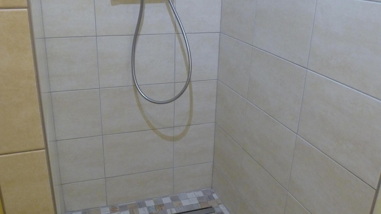 Photo of Bathroom in Clomot