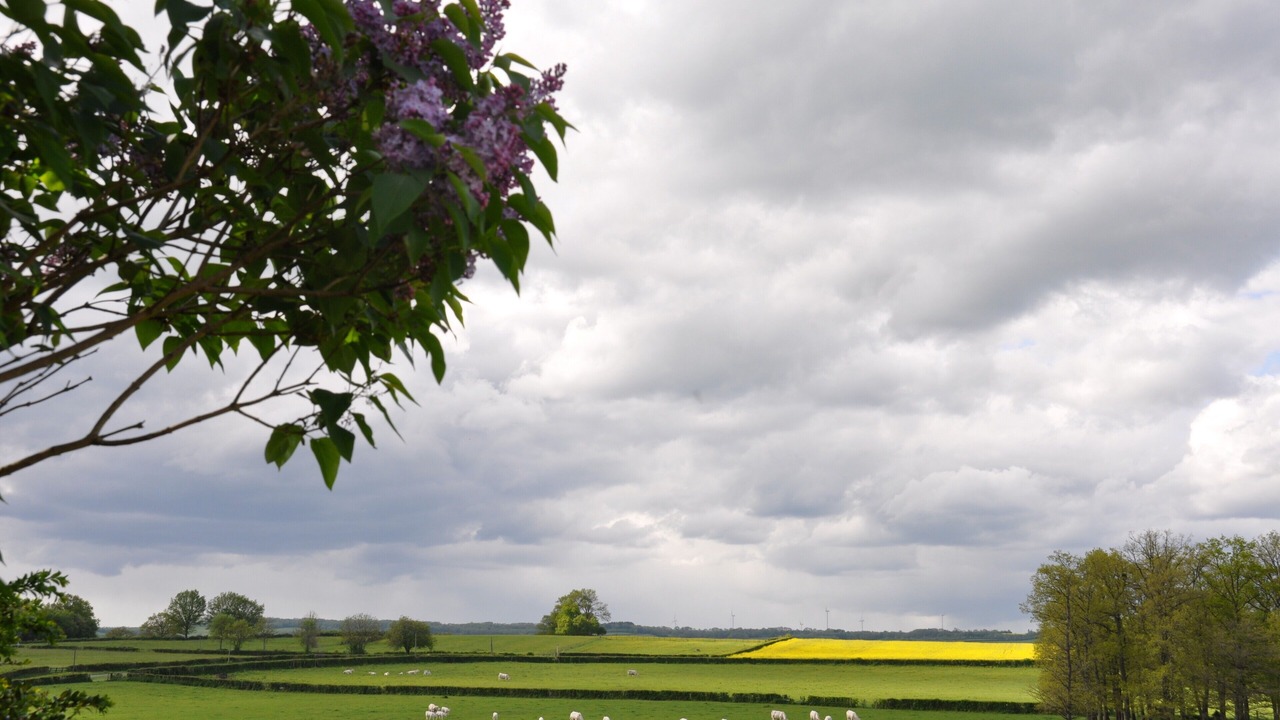 Photo of Others in Clomot