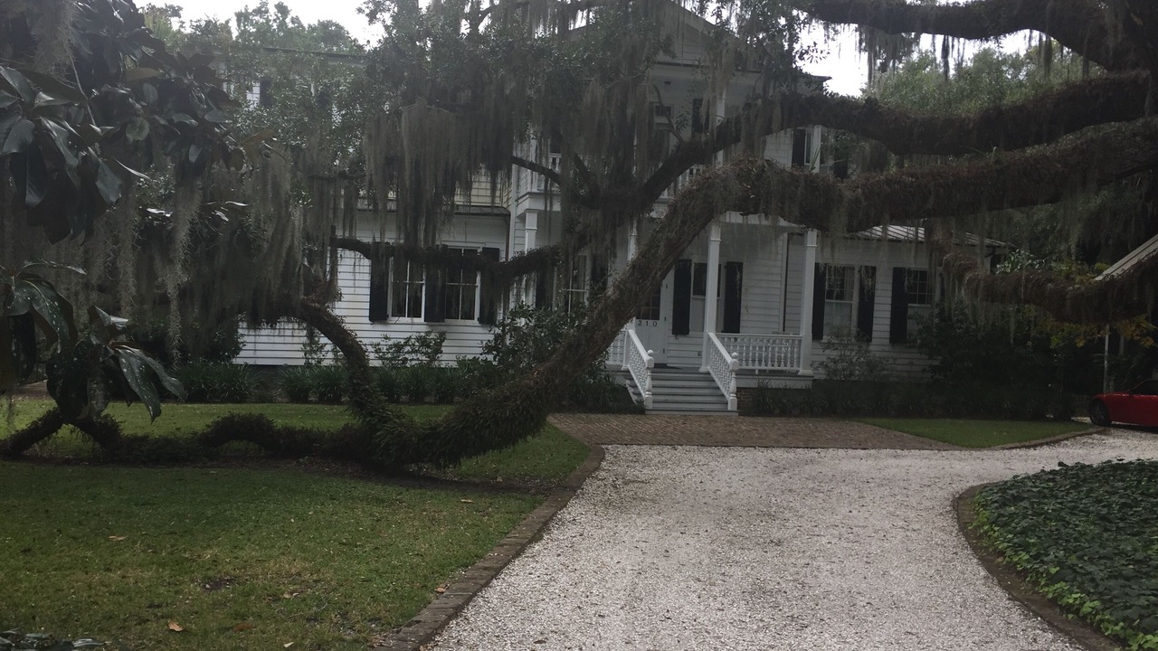 Photo of Others in Beaufort