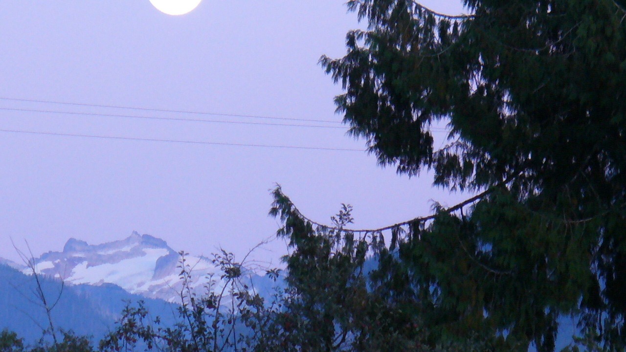 Photo of Others in Rockport