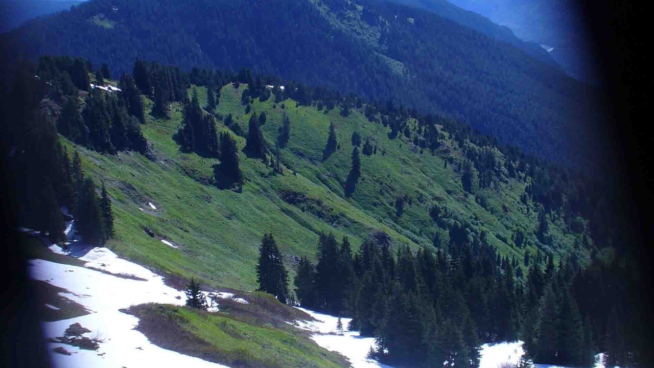 Photo of Others in Rockport