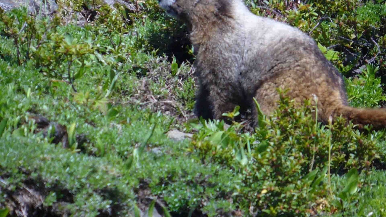 Photo of Others in Rockport