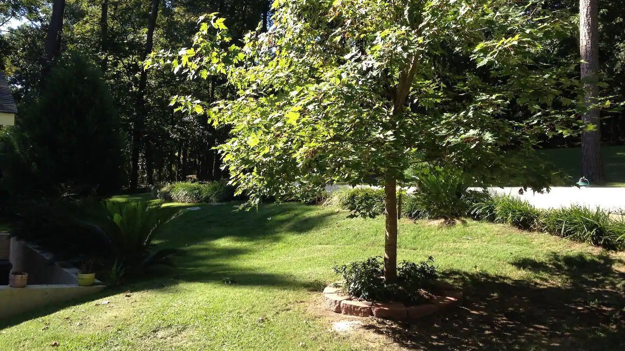 Photo of Others in Eufaula