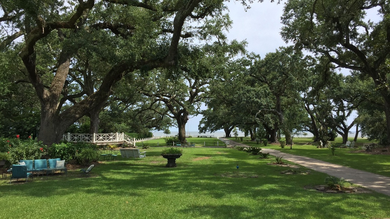 Photo of Others in Long Beach