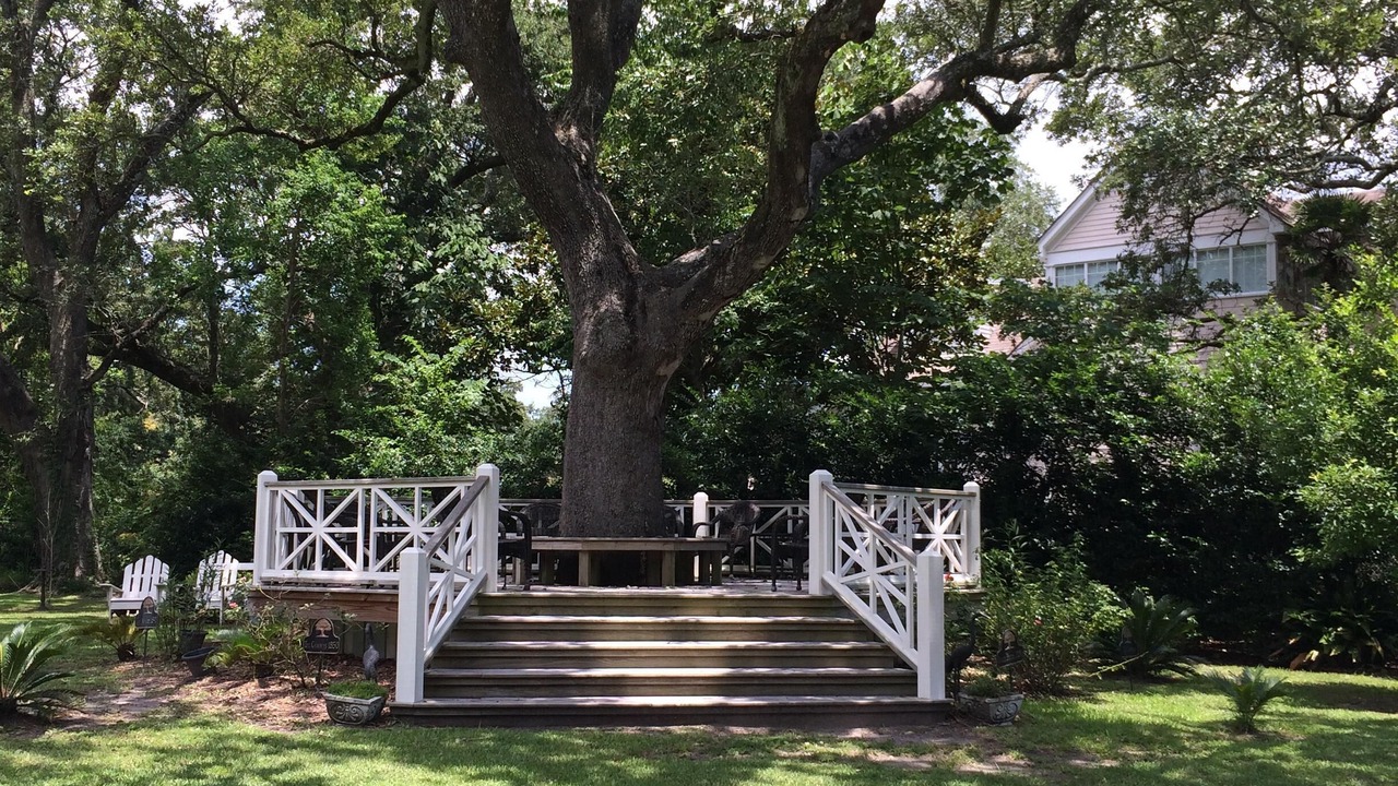 Photo of Others in Long Beach