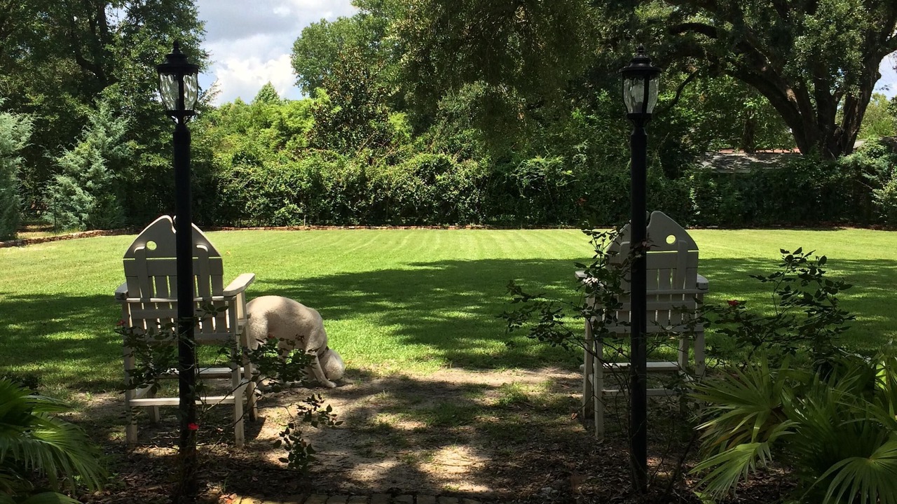 Photo of Others in Long Beach
