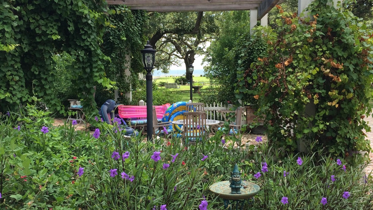 Photo of Others in Long Beach