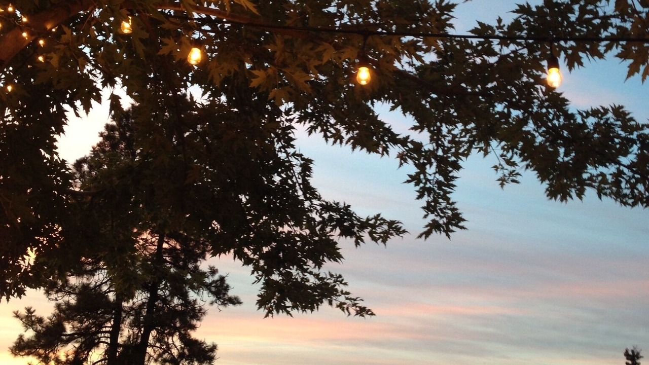 Photo of Others in Thorpe Westwood