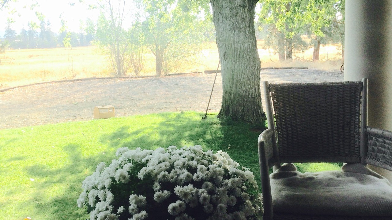 Photo of Outdoor in Thorpe Westwood